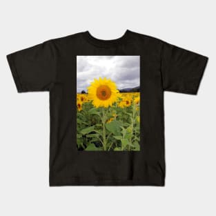 Sunflower field, Richmond, Tasmania Kids T-Shirt